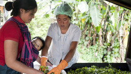 40 jaar Oxfam in Laos