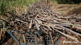 Biobrandstoffen Peru